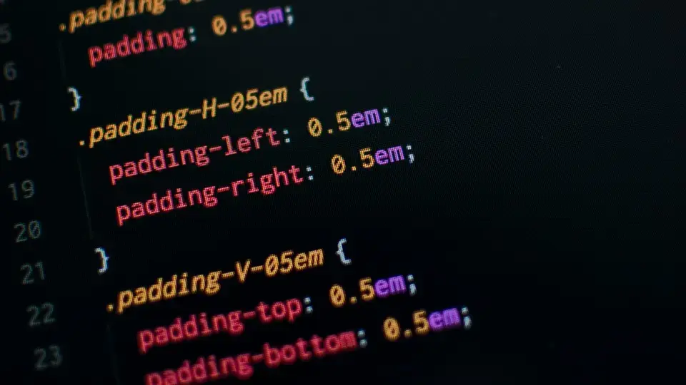 image qui montre quelques lignes de CSS