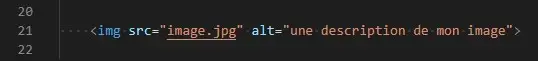 exemple d'utilisation de l'attribut alt sur une image dans un code source en html